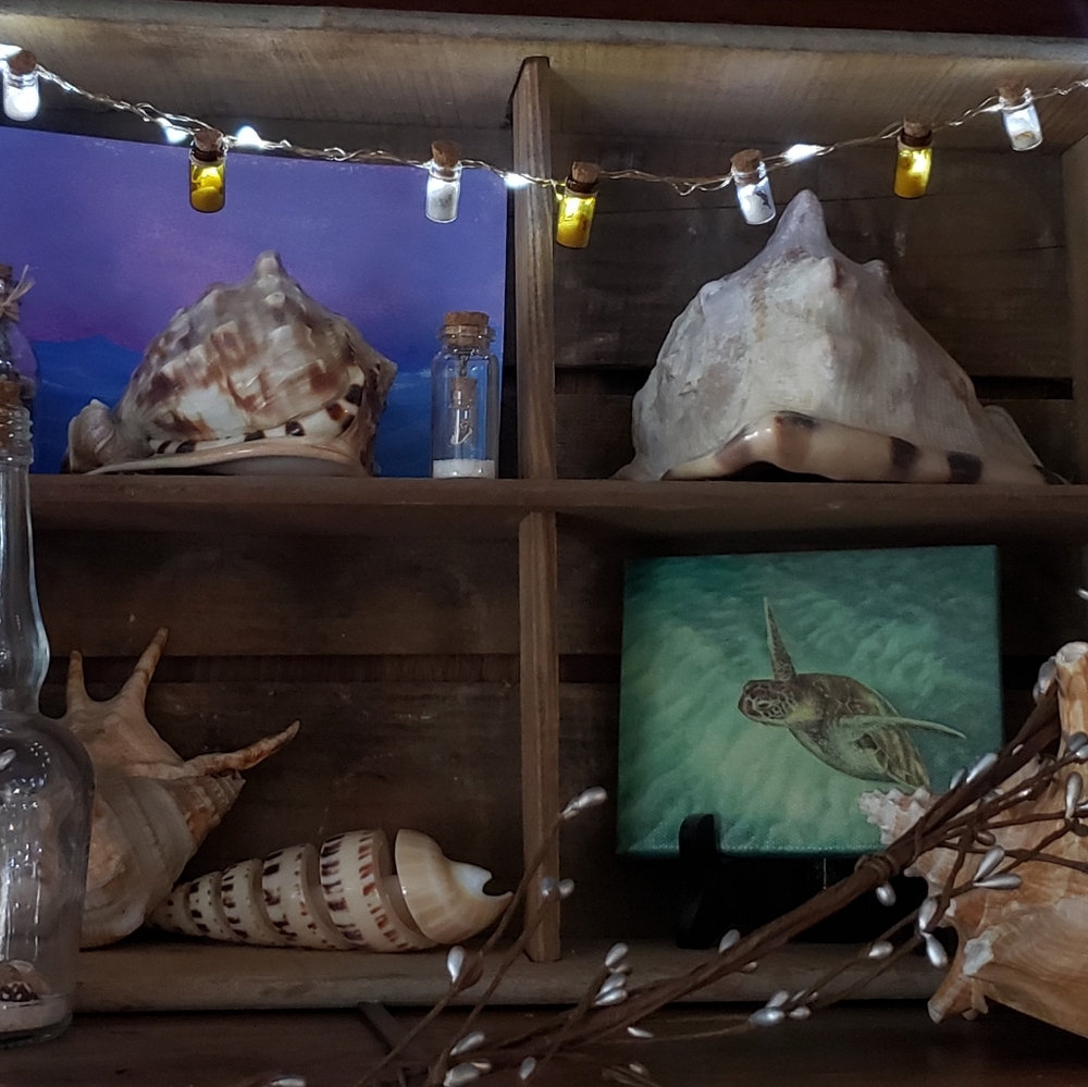 Tiny Miniature Bottle String Lights with sand, shells, amber and clear bottles